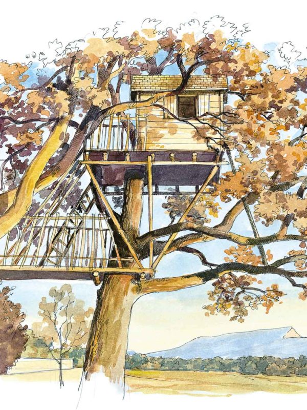 La cabane Cézanne - La cabane perchée - Constructeur de cabanes