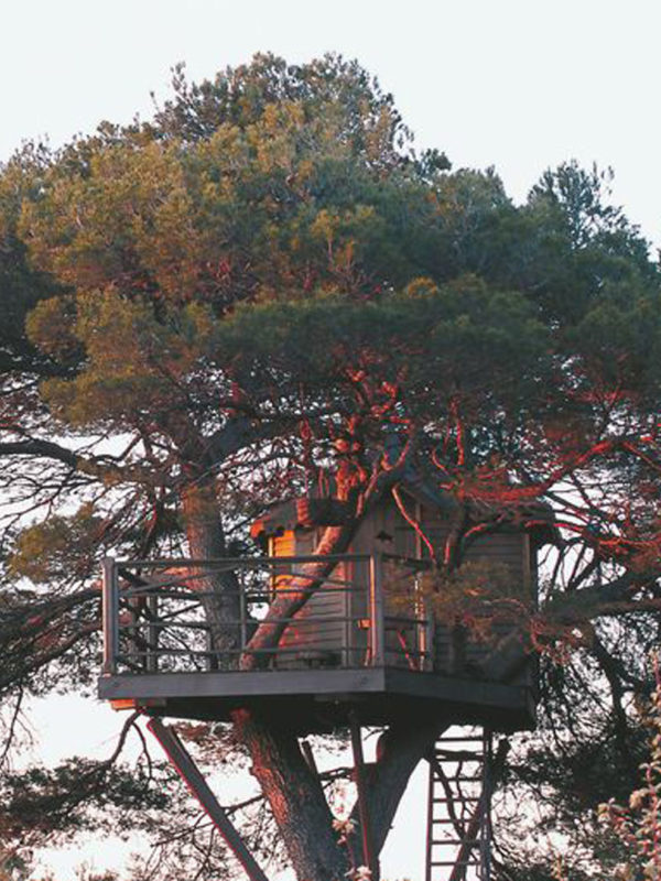 La cabane brouillon - La cabane perchée - Constructeur de cabanes