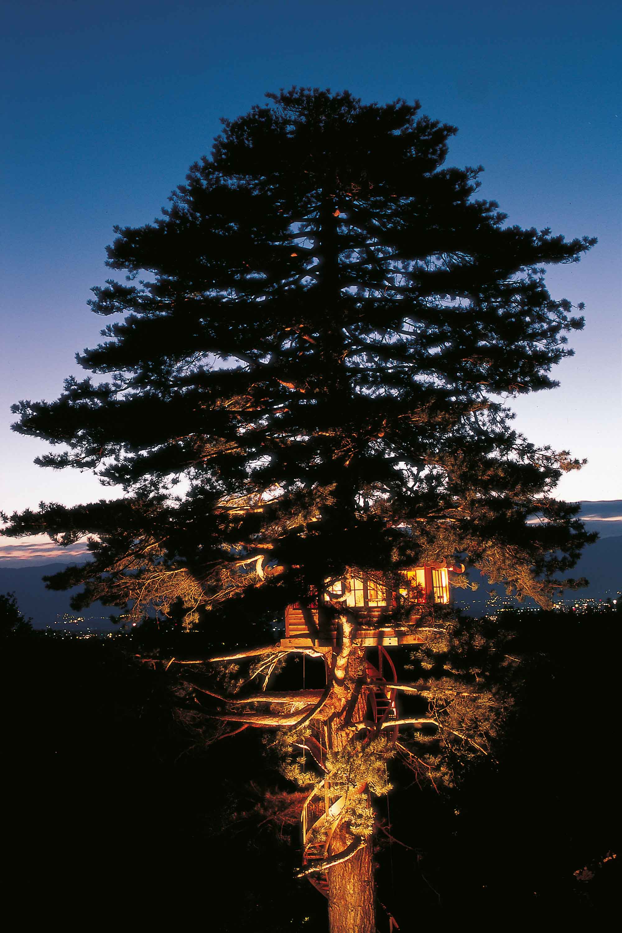La cabane Suspendue - La cabane perchée - Constructeur de cabanes - cabane en bois vue de nuit