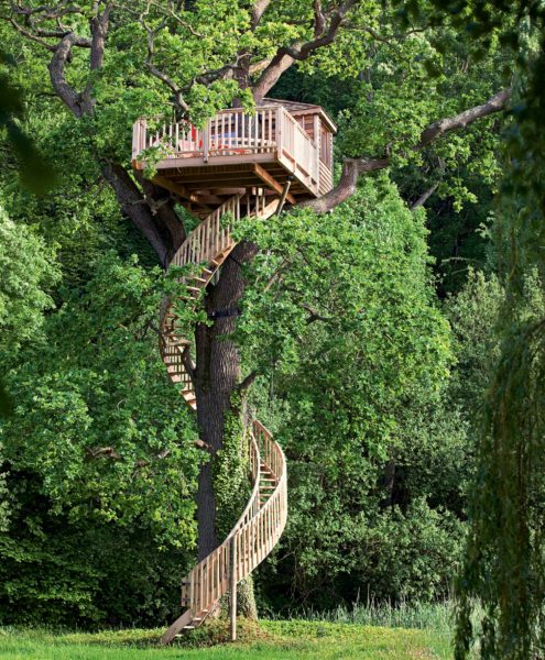 La cabane serpent - La cabane perchée - Constructeur de cabanes