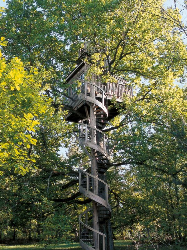 La cabane champagne - La cabane perchée - Constructeur de cabanes