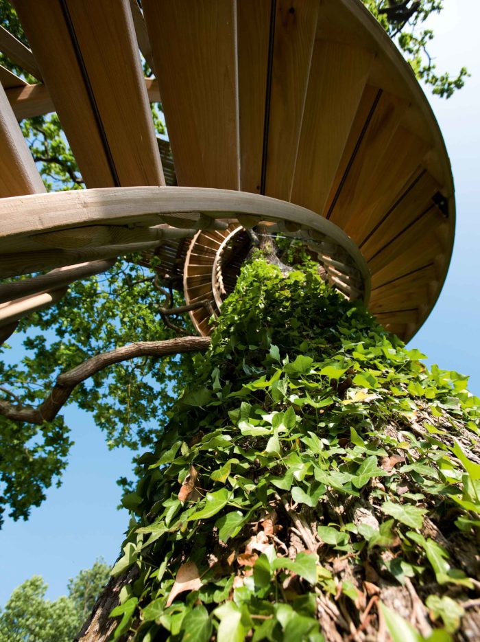 La cabane serpent - La cabane perchée - Constructeur de cabanes